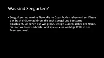 Vorschau - Arbeitsblätter - AB mit Fragen zum Thema "Seegurken" + Lösungsblatt - Seite 2