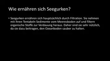 Vorschau - Arbeitsblätter - AB mit Fragen zum Thema "Seegurken" + Lösungsblatt - Seite 3