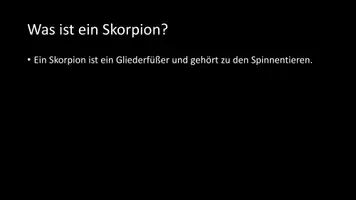 Vorschau - Arbeitsblätter - AB mit Fragen zum Thema "Skorpione" + Lösungsblatt + Infografik - Seite 3