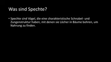 Vorschau - Arbeitsblätter - AB mit Fragen zum Thema "Spechte" + Lösungsblatt + Mindmap + Infografik - Seite 3
