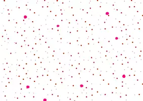 Aperçu - Apprentissages en autonomie - Loto "Je fais les courses" - Page 2