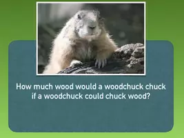 Vorschau - Spiele - Unterrichtseinstieg / Zungenbrecher - Woodchuck - Seite 3