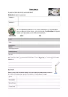 Vorschau - Arbeitsblätter - Tolles Experiment zu Stoffeigenschaften mit wenig Aufwand - Deckblatt