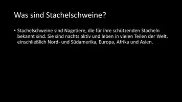 Vorschau - Arbeitsblätter - AB mit Fragen zum Thema "Stachelschweine" + Lösungsblatt - Seite 2