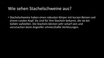 Vorschau - Arbeitsblätter - AB mit Fragen zum Thema "Stachelschweine" + Lösungsblatt - Seite 3