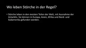 Vorschau - Arbeitsblätter - AB mit Fragen zum Thema "Störche" + Lösungsblatt + Infografik - Seite 3