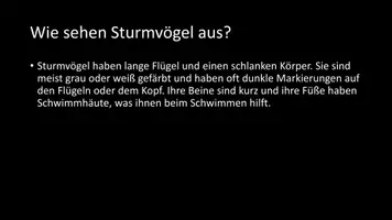 Vorschau - Arbeitsblätter - AB mit Fragen zum Thema "Sturmvögel" + Lösungsblatt - Seite 3