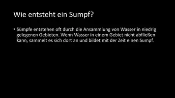 Vorschau - Arbeitsblätter - AB mit Fragen zum Thema "Sümpfe" + Lösungsblatt - Seite 3