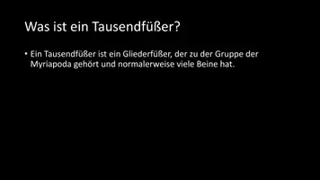 Vorschau - Arbeitsblätter - AB mit Fragen zum Thema "Tausendfüßer" + Lösungsblatt + Infografik - Seite 3