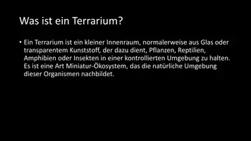 Vorschau - Arbeitsblätter - AB mit Fragen zum Thema "Terrarium" + Lösungsblatt - Seite 2