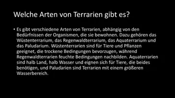 Vorschau - Arbeitsblätter - AB mit Fragen zum Thema "Terrarium" + Lösungsblatt - Seite 3
