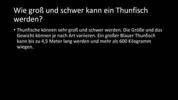 Vorschau - Arbeitsblätter - AB mit Fragen zum Thema "Thunfische" + Lösungsblatt - Seite 3