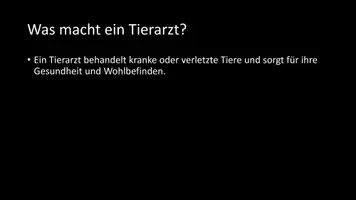 Vorschau - Arbeitsblätter - AB mit Fragen zum Thema "Tierärzte" + Lösungsblatt + Infografik - Seite 3