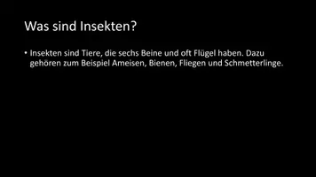 Vorschau - Arbeitsblätter - AB mit Fragen zum Thema "Tiere" + Lösungsblatt - Seite 3