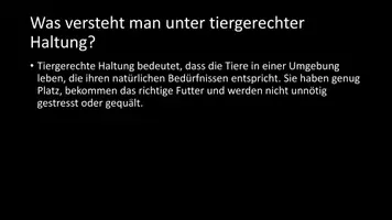 Vorschau - Arbeitsblätter - AB mit Fragen zum Thema "tiergerechte Haltung" + Lösungsblatt - Seite 2