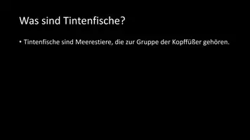 Vorschau - Arbeitsblätter - AB mit Fragen zum Thema "Tintenfische" + Lösungsblatt + Infografik - Seite 3