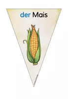 Vorschau - Fördermaterial/Inklusion - Kombipaket Gemüse - DaZ - Seite 2