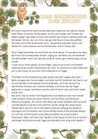 Vorschau - Stundenentwürfe - Das Geheimnis der Eulen. Schätze der Natur mit allen Sinnen entdecken - Deckblatt