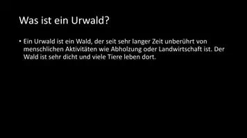 Vorschau - Arbeitsblätter - AB mit Fragen zum Thema "Urwald" + Lösungsblatt - Seite 2