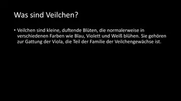 Vorschau - Arbeitsblätter - AB mit Fragen zum Thema "Veilchen" + Lösungsblatt - Seite 2
