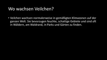 Vorschau - Arbeitsblätter - AB mit Fragen zum Thema "Veilchen" + Lösungsblatt - Seite 3