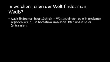 Vorschau - Arbeitsblätter - AB mit Fragen zum Thema "Wadi" + Lösungsblatt - Seite 3