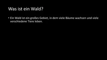 Vorschau - Arbeitsblätter - AB mit Fragen zum Thema "Wald" + Lösungsblatt + Infografik - Seite 3