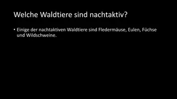 Vorschau - Arbeitsblätter - AB mit Fragen zum Thema "Waldtiere" + Lösungsblatt + Infografik - Seite 3