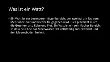 Vorschau - Arbeitsblätter - AB mit Fragen zum Thema "Watt (Natur)" + Lösungsblatt + Infografik - Seite 3