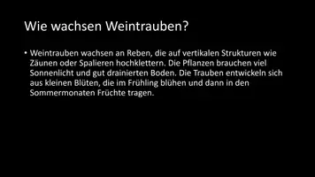 Vorschau - Arbeitsblätter - AB mit Fragen zum Thema "Weintrauben" + Lösungsblatt - Seite 3