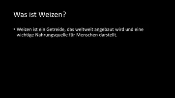 Vorschau - Arbeitsblätter - AB mit Fragen zum Thema "Weizen" + Lösungsblatt + Infografik - Seite 3