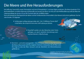 Vorschau - Unterrichtsreihen - #plastikfrei Kartenset: Plastikmüll in den Meeren und Ozeanen - Seite 2