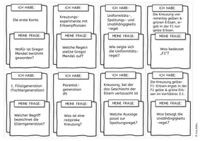 Vorschau - Spiele - Kettenquiz Ich habe Wer hat Genetik Mendel Stammbaumanalyse - Seite 2