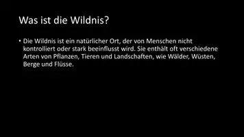 Vorschau - Arbeitsblätter - AB mit Fragen zum Thema "Wildnis" + Lösungsblatt + Infografik - Seite 3