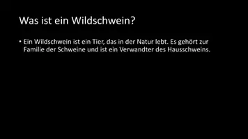 Vorschau - Arbeitsblätter - AB mit Fragen zum Thema "Wildschwein" + Lösungsblatt + Infografik - Seite 3