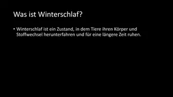 Vorschau - Arbeitsblätter - AB mit Fragen zum Thema "Winterschlaf" + Lösungsblatt + Infografik - Seite 2