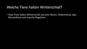 Vorschau - Arbeitsblätter - AB mit Fragen zum Thema "Winterschlaf" + Lösungsblatt + Infografik - Seite 3
