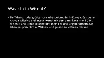 Vorschau - Arbeitsblätter - AB mit Fragen zum Thema "Wisent" + Lösungsblatt - Seite 2