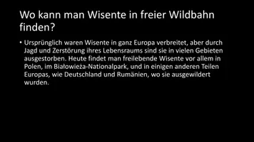 Vorschau - Arbeitsblätter - AB mit Fragen zum Thema "Wisent" + Lösungsblatt - Seite 3