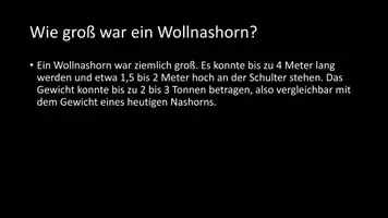 Vorschau - Arbeitsblätter - AB mit Fragen zum Thema "Wollnashorn" + Lösungsblatt - Seite 3