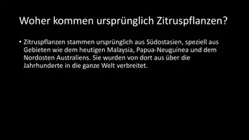 Vorschau - Arbeitsblätter - AB mit Fragen zum Thema "Zitruspflanzen" + Lösungsblatt - Seite 3