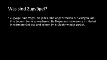 Vorschau - Arbeitsblätter - AB mit Fragen zum Thema "Zugvögel" + Lösungsblatt + Infografik - Seite 3