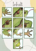 Vorschau - Stundenentwürfe - Tafelbild: Der Frosch - Die Anpassung an seinen Lebensraum - Seite 3