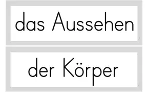 Vorschau - Poster - Tafelmaterial: Aussehen & Körper des Eichhörnchens - Seite 3