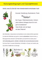 Vorschau - Arbeitsblätter - Sammeltütchen für Minztee - Seite 3