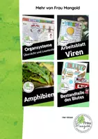 Vorschau - Merkblätter - Sicherheitsbelehrung im naturwissenschaftlichen Fachraum beim Experimentieren | Biologie BNT Naturphänomene NaWi NWT - Seite 3