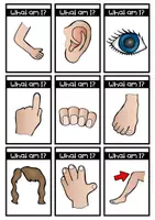 Vorschau - Spiele - Guess what... Game Body Parts - Seite 1