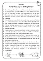 Vorschau - Arbeitsblätter - Von der Blüte zur Frucht - Apfel - Seite 1