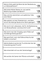 Vorschau - Arbeitsblätter - Von der Blüte zur Frucht - Apfel - Seite 2