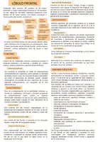 Vista previa - Unidades / Secuencias / Situaciones de Aprendizaje - Lóbulo frontal- Sistema Nervioso Central - Portada
